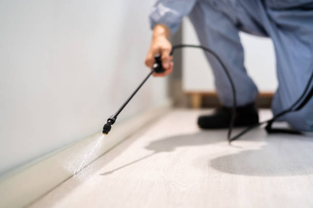 Licensed Fumigation Services service in Young County County, TX - Nex Pest Control